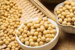 便攜式蔬菜農藥檢測儀檢測大豆農殘